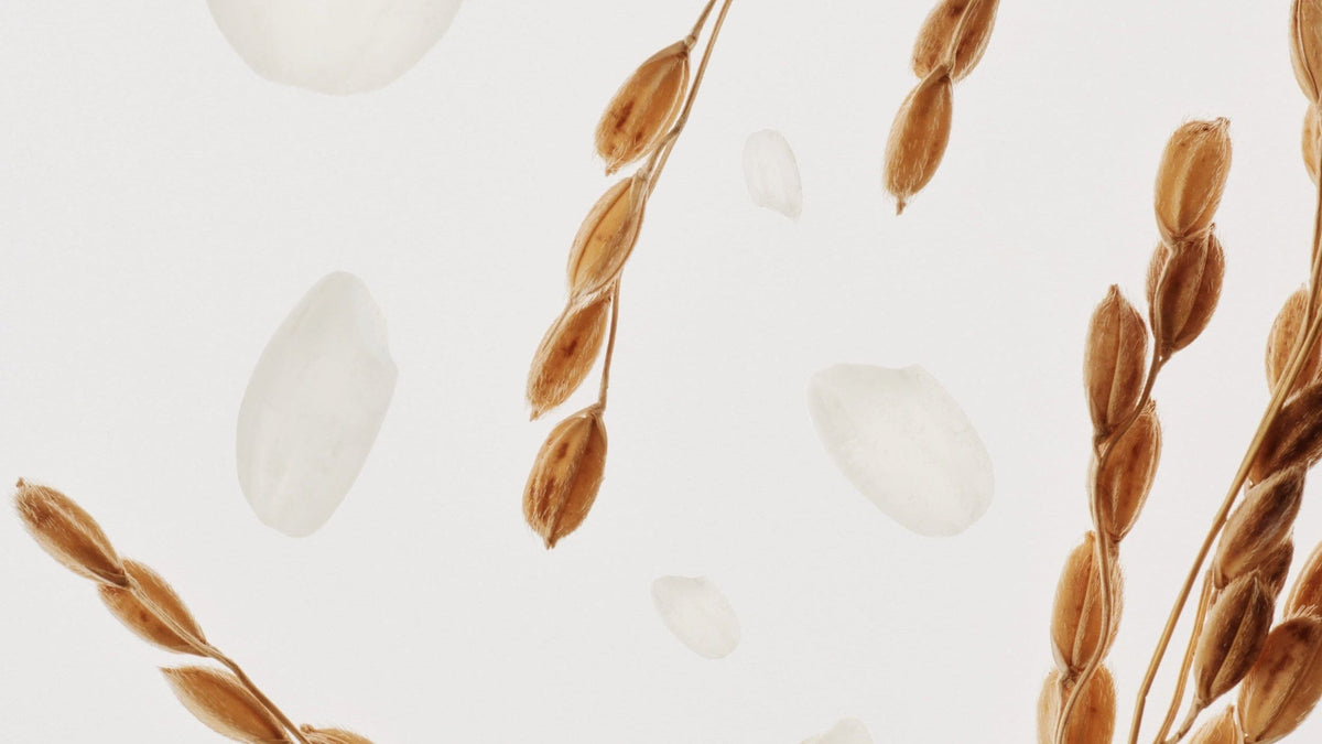 a close up of seeds