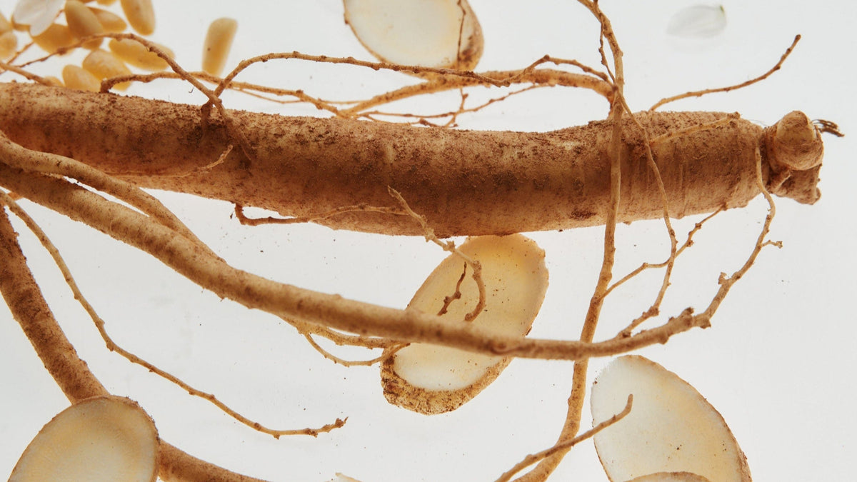 a close up of a root