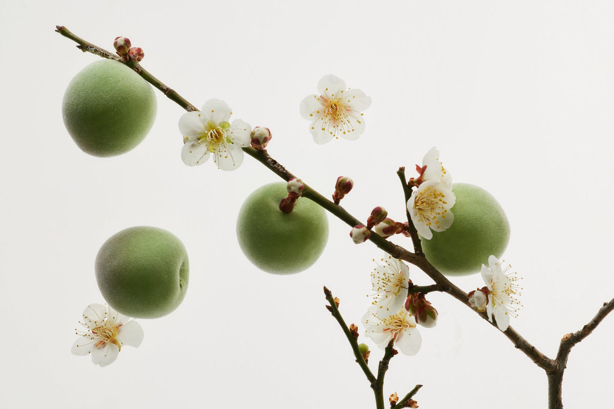 a branch with fruit and flowers