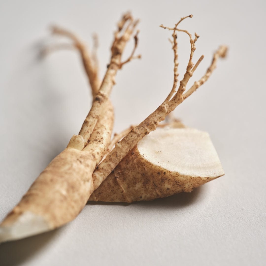 a root cut in half