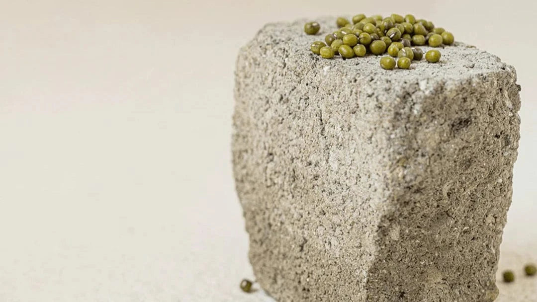 a stone block with green beans on it