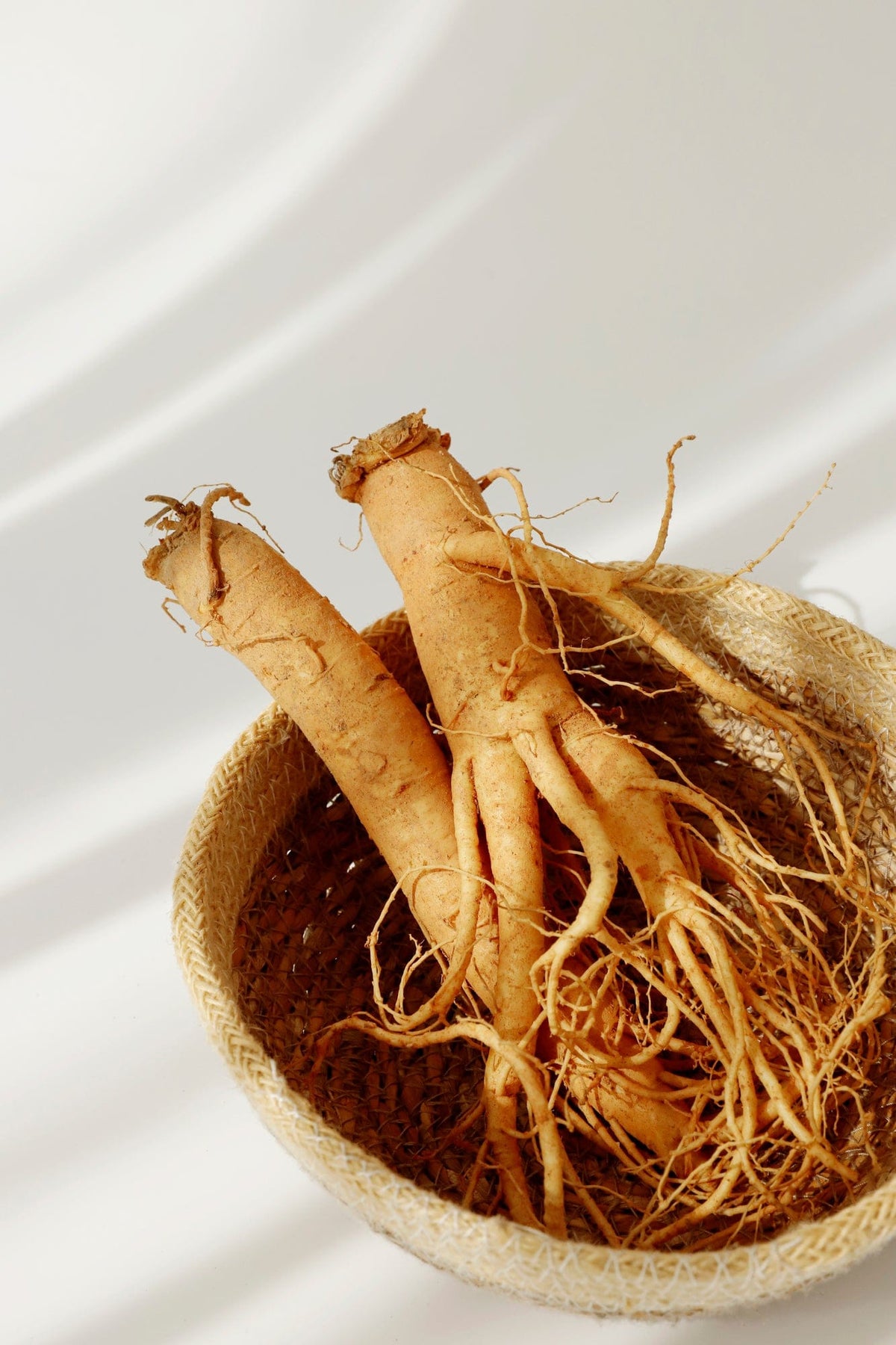a group of root in a basket
