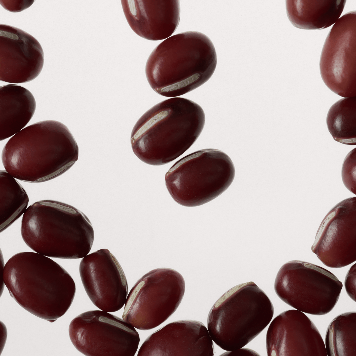 Key Ingredients - Red Bean PDRN