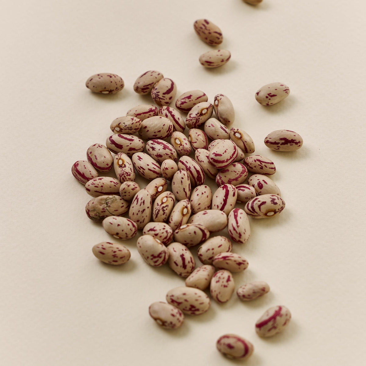a pile of beans on a white surface