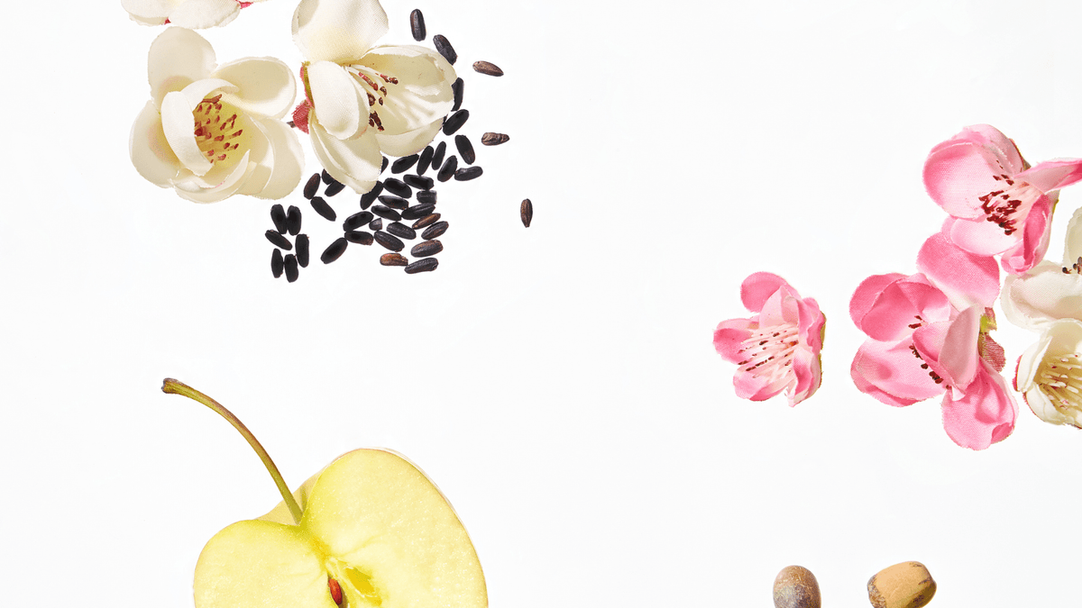 a close up of flowers and seeds