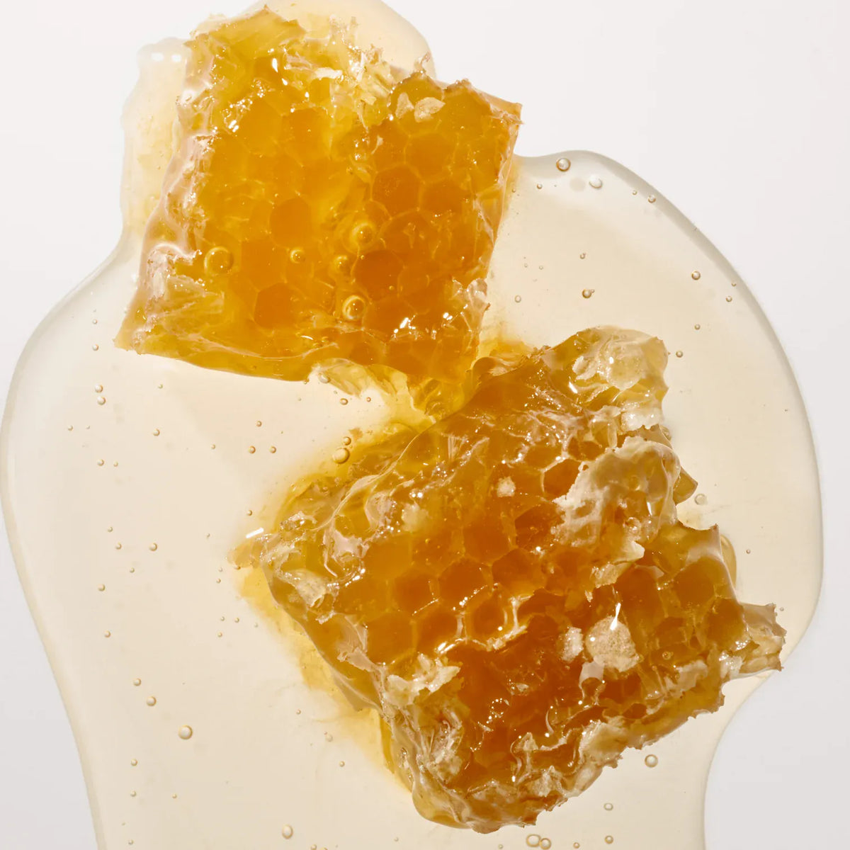 honeycombs on a white surface