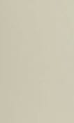 A close-up, solid color swatch of a warm, light beige fabric texture.