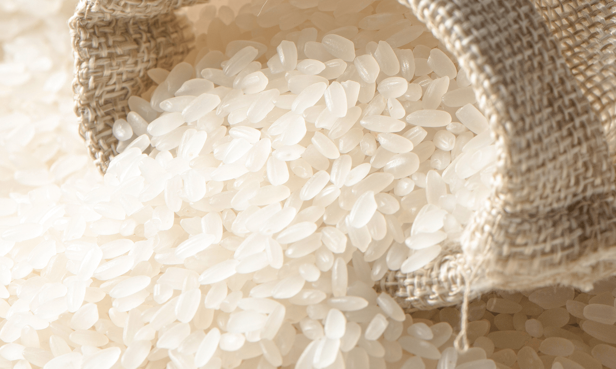 a bag of rice spilling out of it