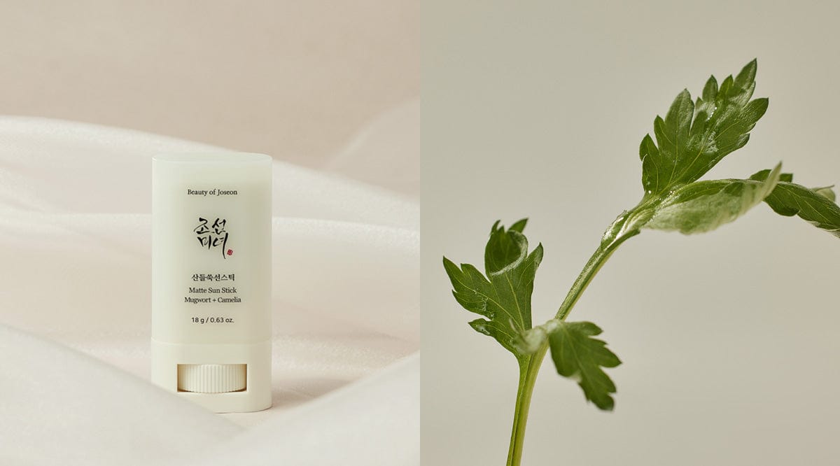 a white container with a green leafy plant