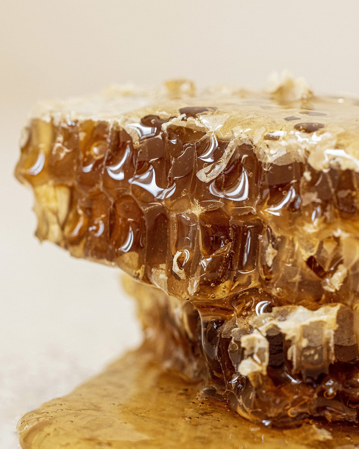 Propolis Line bees