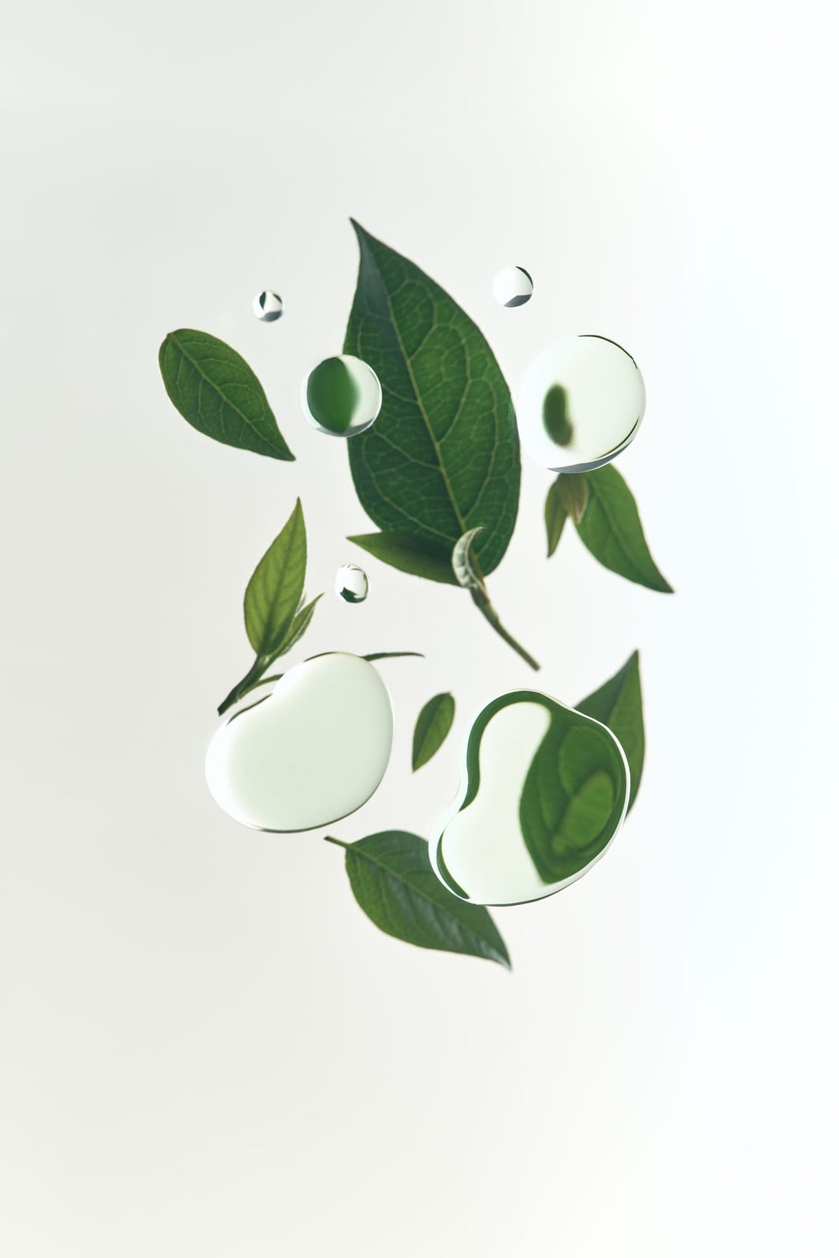 water drops and leaves floating in the air